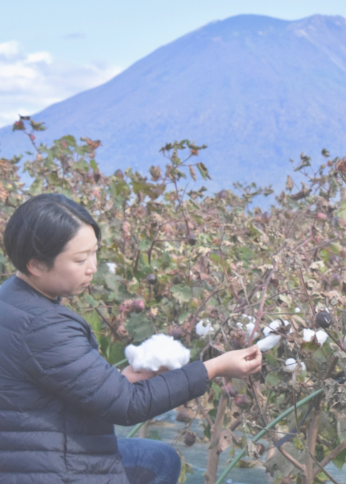 「北海道では絶対無理。」