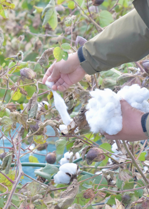 寒冷地の寒暖サイクルを味方に