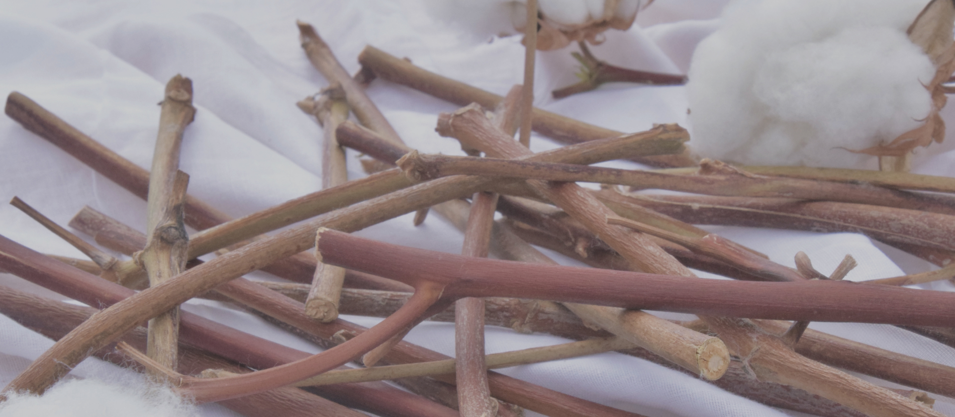 イメージ：時代を紡ぎ、地域を紡ぐ新しい取り組み