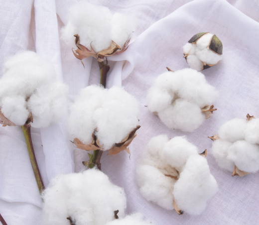 イメージ：高橋農園