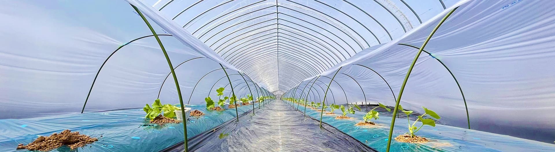 北海道ニセコ町 高橋農園 | 公式ホームページ - 虻田郡